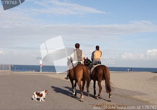 Image of Horseriding