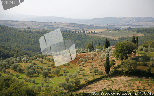 Image of Countryside Tuscany