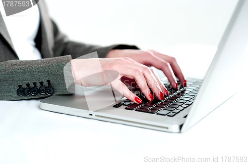 Image of Close view of woman hands using laptop