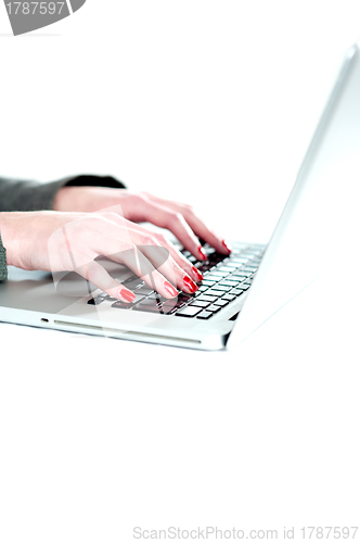 Image of Female hands operating laptop. Cropped image