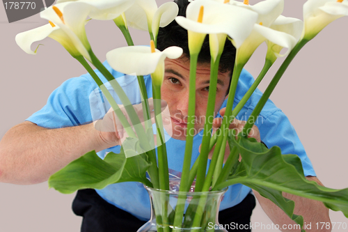 Image of Man peeking through flowers