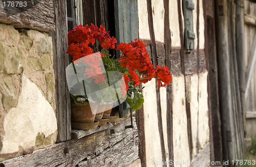 Image of Halftimbered