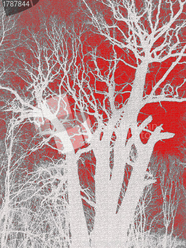 Image of Silhouette of a tree on a red background