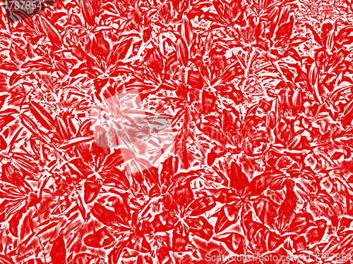 Image of Red abstract background