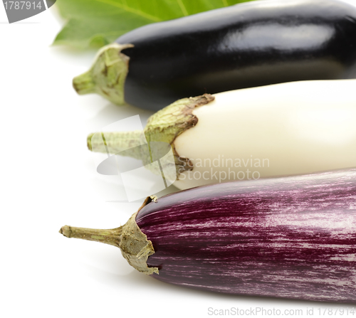 Image of Eggplants