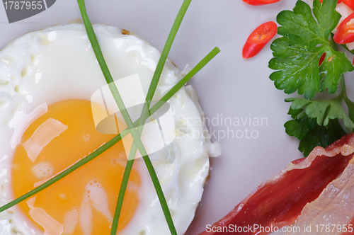 Image of Fried Eggs Sunny Side Up with Bacon, Parsley and Lettuce