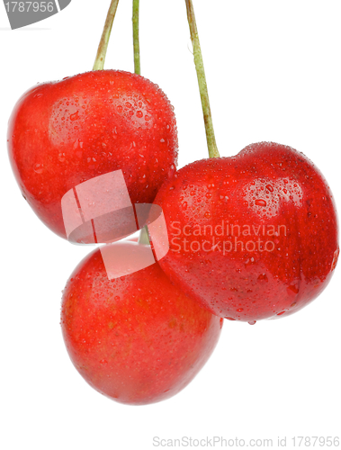 Image of Three Sweet Cherry
