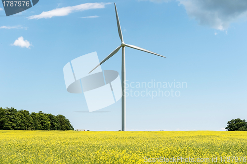 Image of Windmill