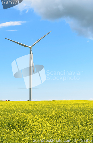 Image of Windmill