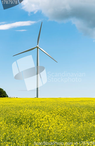 Image of Windmill