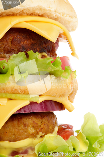 Image of Big  Double Cheeseburger closeup