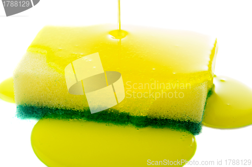 Image of Sponge