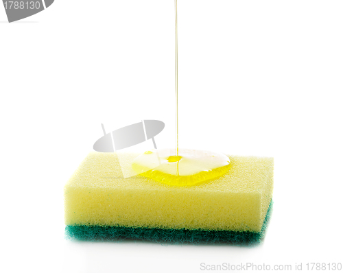 Image of Dish Sponge