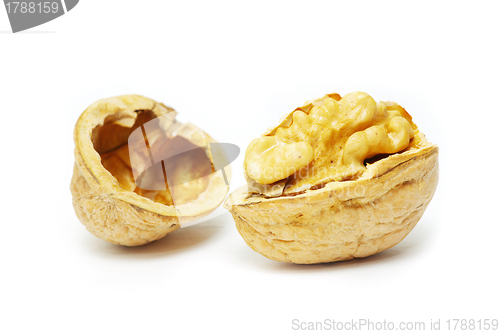 Image of  walnuts