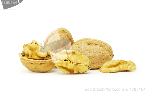 Image of  walnuts 