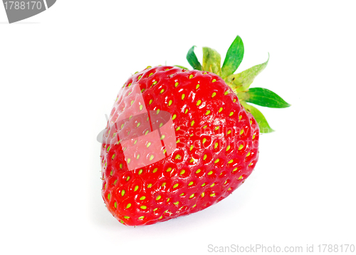 Image of  strawberry