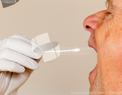 Image of DNA swab of saliva taken from senior man