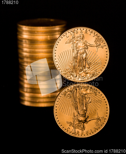 Image of Reflection of one ounce gold coin black