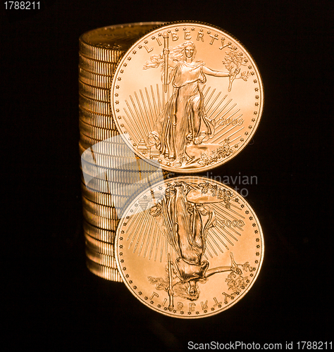 Image of Reflection of one ounce gold coin black