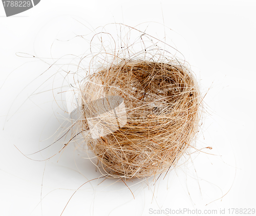 Image of Isolated birds nest woven from grass and hair 