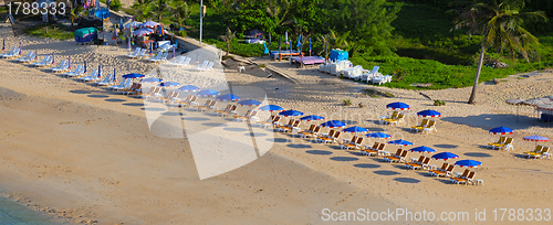 Image of Beach near tropical sea with umbrellas