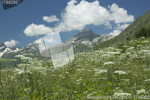 Image of Mountains on a sunny day, the resorts of the Caucasus