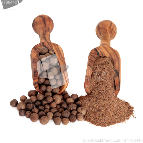 Image of Allspice