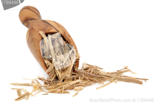 Image of Ginseng