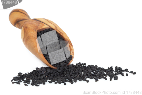 Image of Black Onion Seed