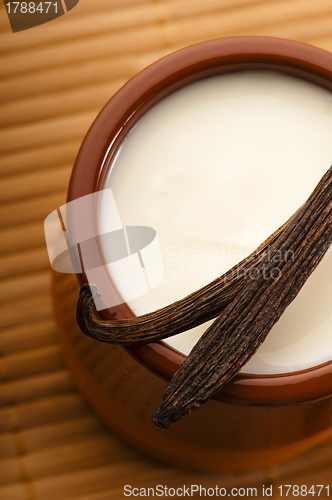 Image of Sweet vanilla pudding dessert 