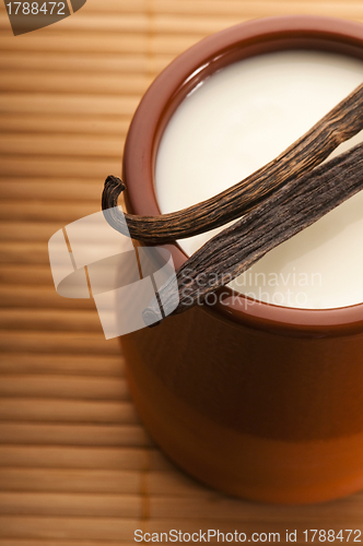 Image of Sweet vanilla pudding dessert 