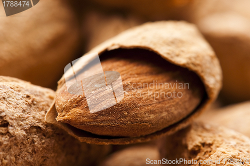 Image of Sweet almonds with kernel 