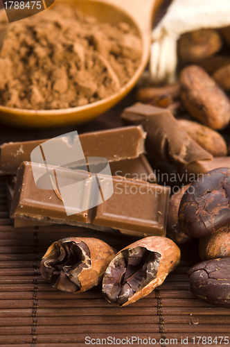 Image of Cocoa (cacao) beans with chocolate