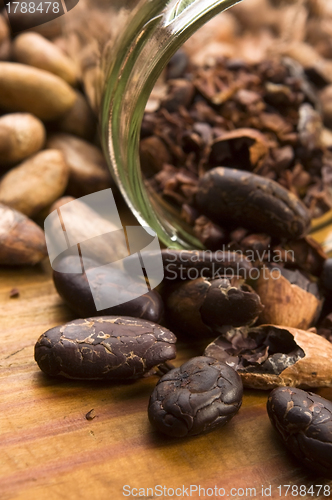 Image of Cocoa (cacao) beans on natural wooden table