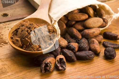 Image of Cocoa (cacao) beans on natural wooden table