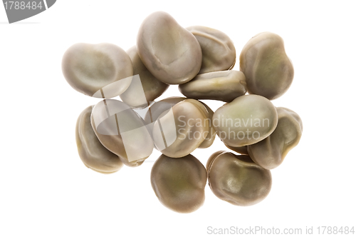 Image of Broad Bean