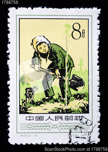 Image of CHINA - CIRCA 1957: A Stamp printed in China shows image of a yo