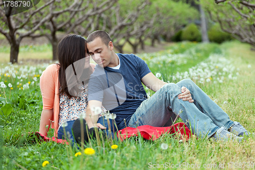 Image of Affectionate Couple Together on Picnic Blanket