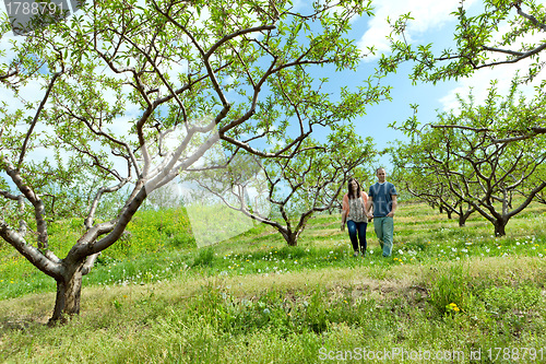 Image of Couple Holding Hands Walking Outdoors