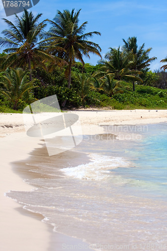 Image of White Sand Puerto Rico Beach