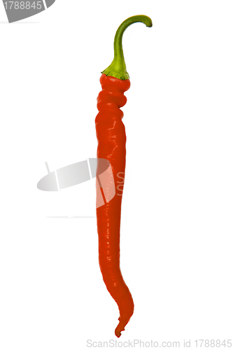 Image of Chili pepper