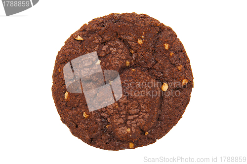 Image of Cookie