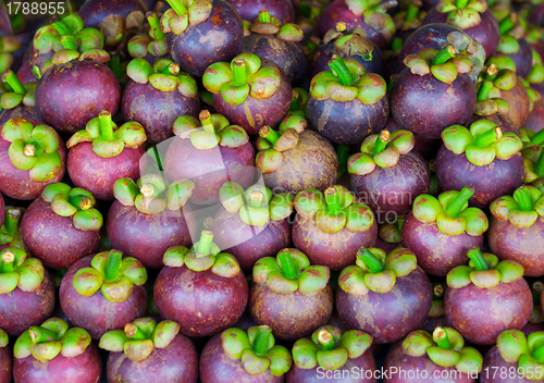 Image of Mangosteen on the counter of market