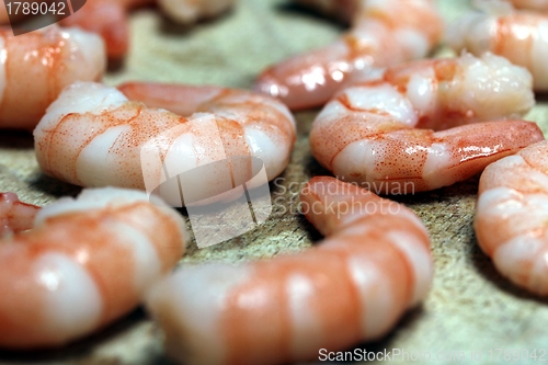 Image of tasty fresh shrimps