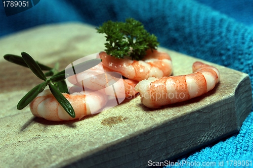 Image of tasty fresh shrimps