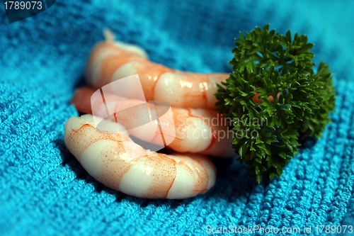 Image of tasty fresh shrimps