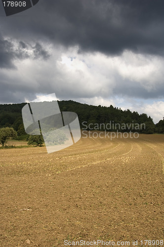 Image of Harvested