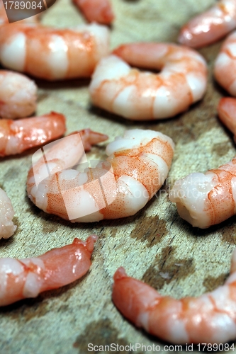 Image of tasty fresh shrimps