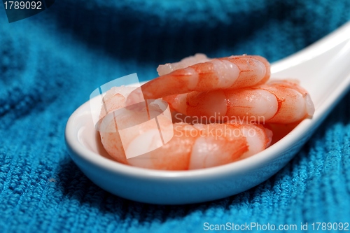Image of tasty fresh shrimps on a spoon