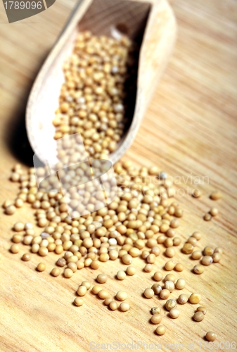 Image of mustard grains